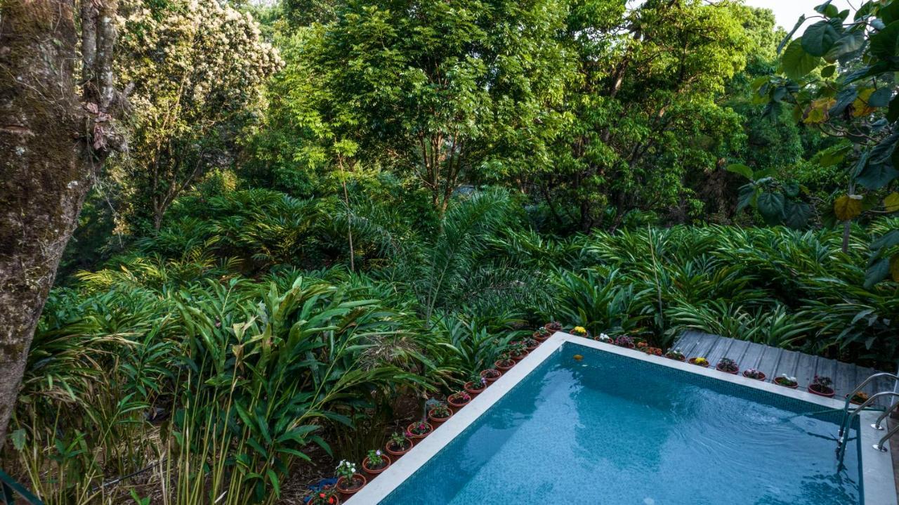 Spice Jungle Resort Munnar Exterior foto